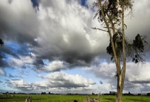 开云棋牌游戏-TES爆冷Astralis，Vetheo高光表现带领队伍反击