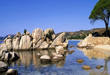 开云棋牌官方-世纪爆冷！拜仁掀翻湖人改写NBA版图